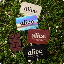 Alice Mushrooms